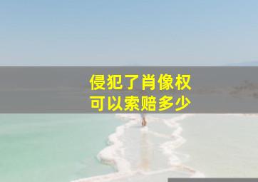 侵犯了肖像权可以索赔多少