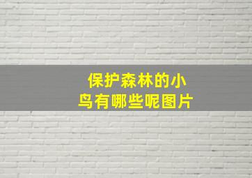 保护森林的小鸟有哪些呢图片