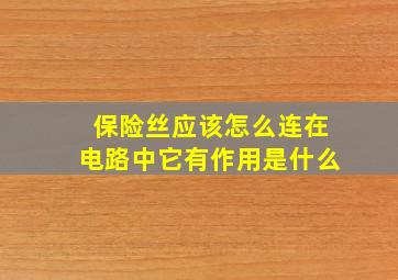 保险丝应该怎么连在电路中它有作用是什么