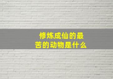 修炼成仙的最苦的动物是什么