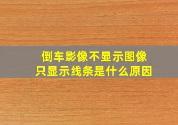 倒车影像不显示图像只显示线条是什么原因