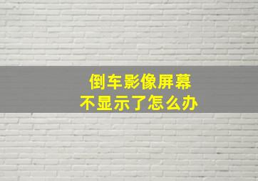 倒车影像屏幕不显示了怎么办