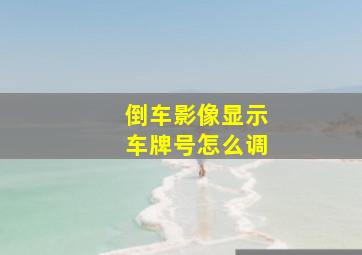 倒车影像显示车牌号怎么调