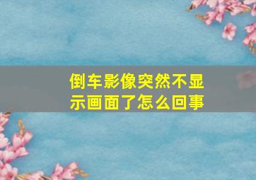 倒车影像突然不显示画面了怎么回事