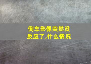 倒车影像突然没反应了,什么情况