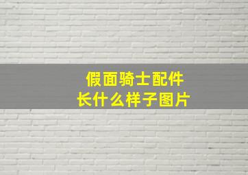 假面骑士配件长什么样子图片