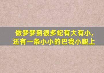 做梦梦到很多蛇有大有小,还有一条小小的巴我小腿上