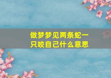 做梦梦见两条蛇一只咬自己什么意思