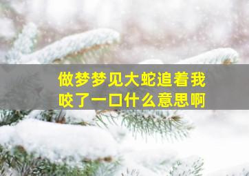 做梦梦见大蛇追着我咬了一口什么意思啊