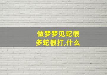 做梦梦见蛇很多蛇很打,什么