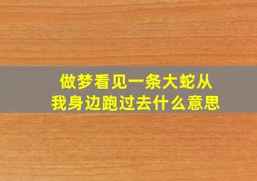 做梦看见一条大蛇从我身边跑过去什么意思