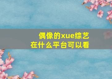 偶像的xue综艺在什么平台可以看