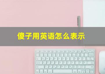 傻子用英语怎么表示