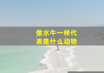 像水牛一样代表是什么动物