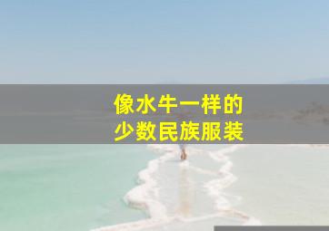 像水牛一样的少数民族服装