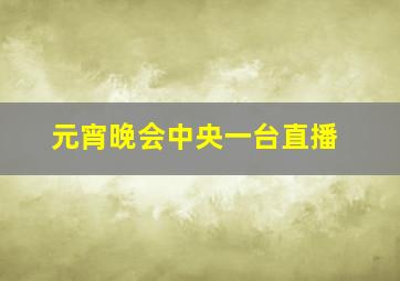 元宵晚会中央一台直播