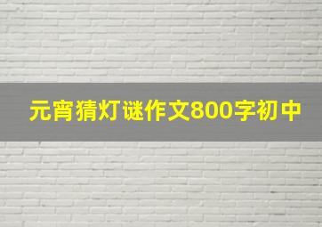 元宵猜灯谜作文800字初中