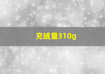 充绒量310g