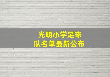 光明小学足球队名单最新公布