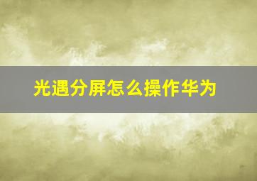 光遇分屏怎么操作华为