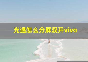 光遇怎么分屏双开vivo