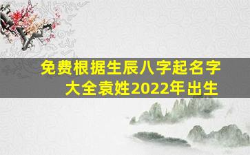 免费根据生辰八字起名字大全袁姓2022年出生