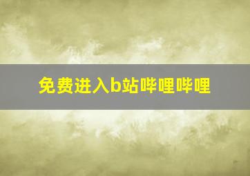 免费进入b站哔哩哔哩