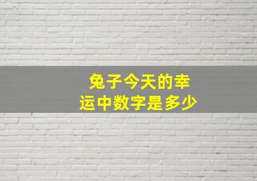 兔子今天的幸运中数字是多少