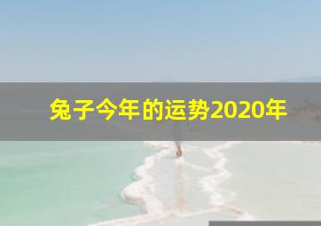 兔子今年的运势2020年