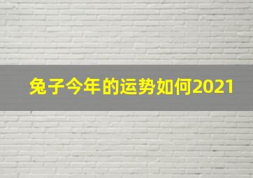 兔子今年的运势如何2021