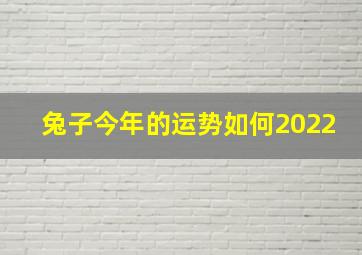 兔子今年的运势如何2022