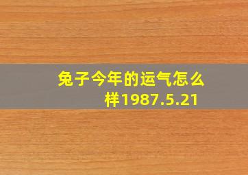 兔子今年的运气怎么样1987.5.21