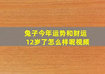 兔子今年运势和财运12岁了怎么样呢视频