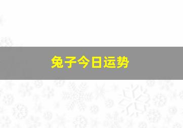 兔子今日运势