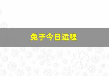 兔子今日运程