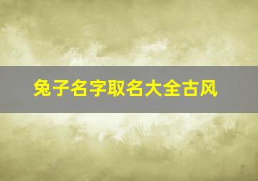 兔子名字取名大全古风