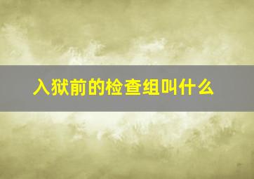 入狱前的检查组叫什么