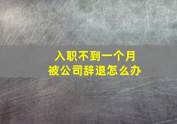 入职不到一个月被公司辞退怎么办