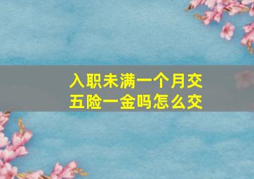 入职未满一个月交五险一金吗怎么交