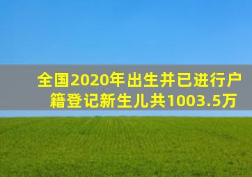 全国2020年出生并已进行户籍登记新生儿共1003.5万