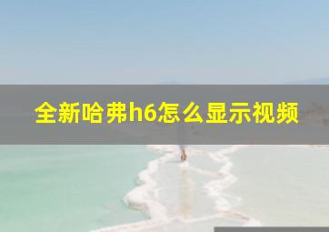 全新哈弗h6怎么显示视频