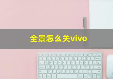 全景怎么关vivo