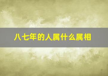 八七年的人属什么属相