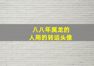 八八年属龙的人用的转运头像