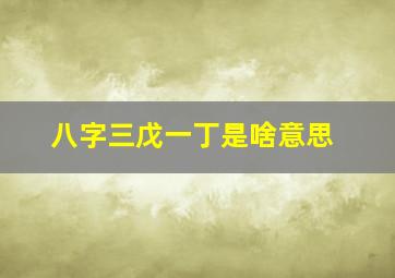 八字三戊一丁是啥意思