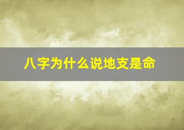 八字为什么说地支是命