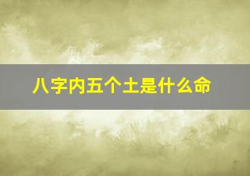 八字内五个土是什么命