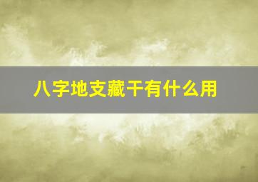 八字地支藏干有什么用