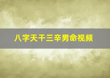 八字天干三辛男命视频