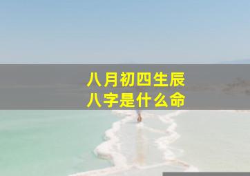 八月初四生辰八字是什么命